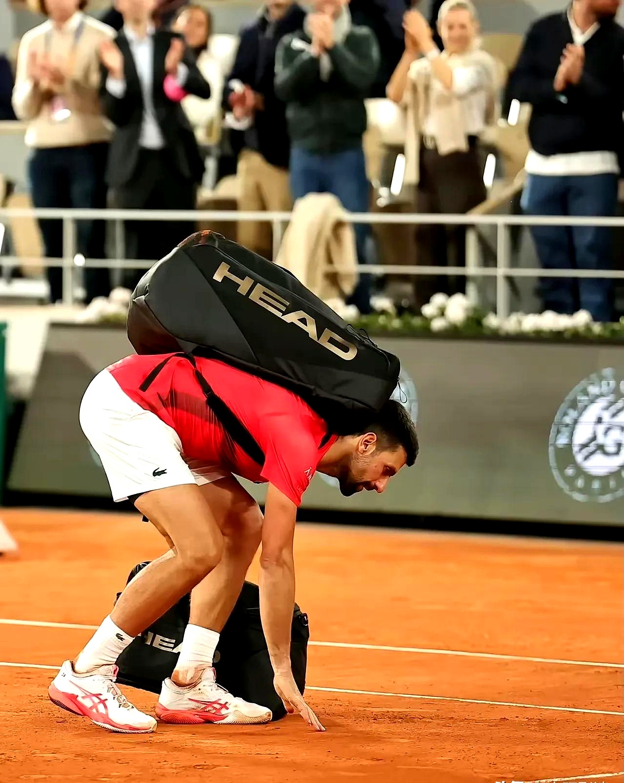 包含欧洲网球队血洗法国网球队，德约科维奇高光表现的词条