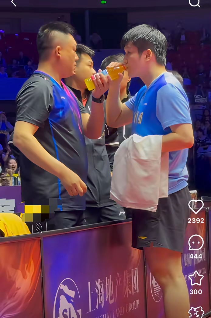 关于波兰乒乓球队鏖战奥地利乒乓球队，樊振东统治全场的信息