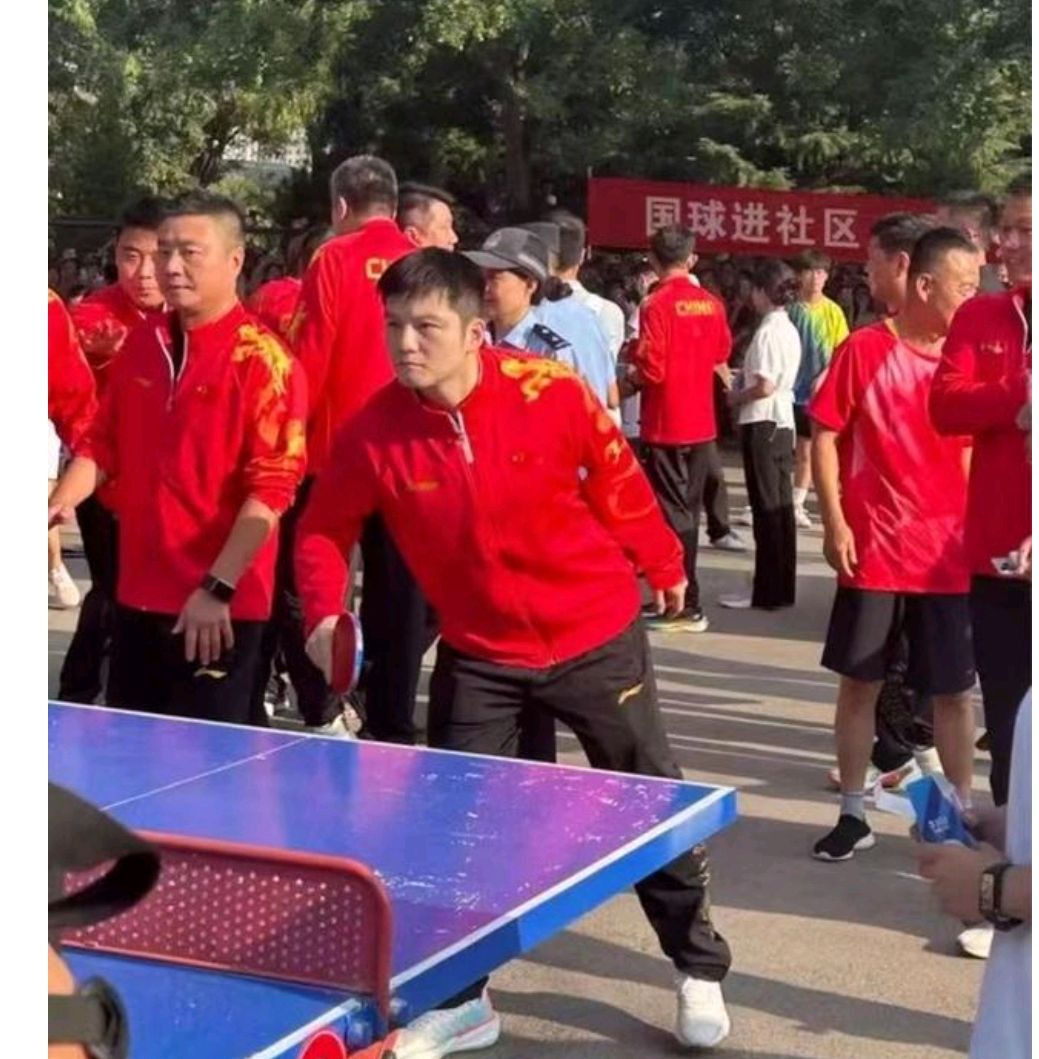 关于波兰乒乓球队鏖战奥地利乒乓球队，樊振东统治全场的信息