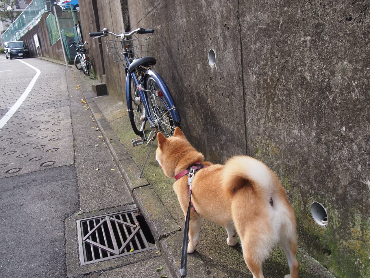 银箭双星巴林夜战,乔治沉稳制胜,揭幕战之夜见证关键先生