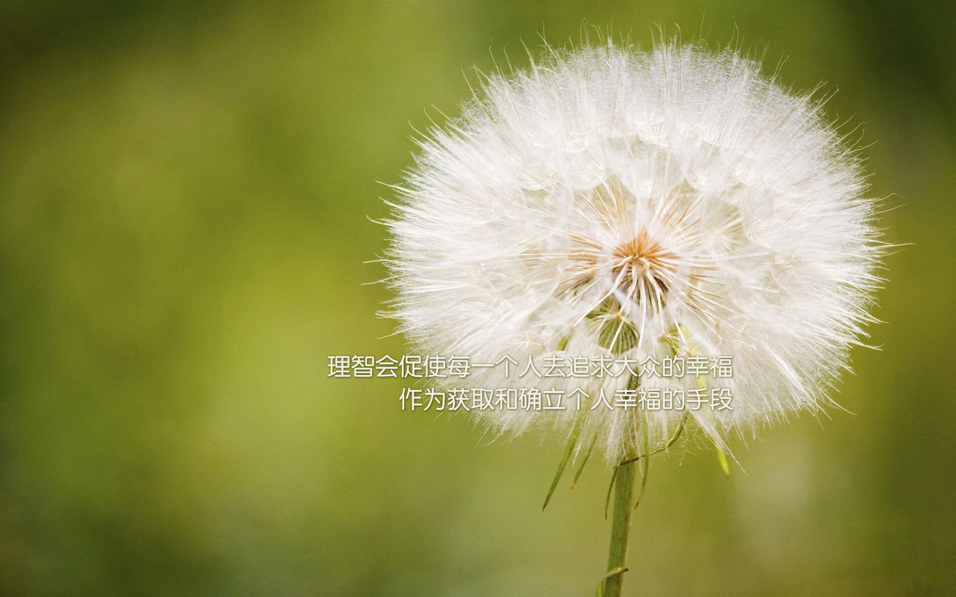热火末节一波流击溃深圳队，切特·霍姆格伦关键先生实至名归