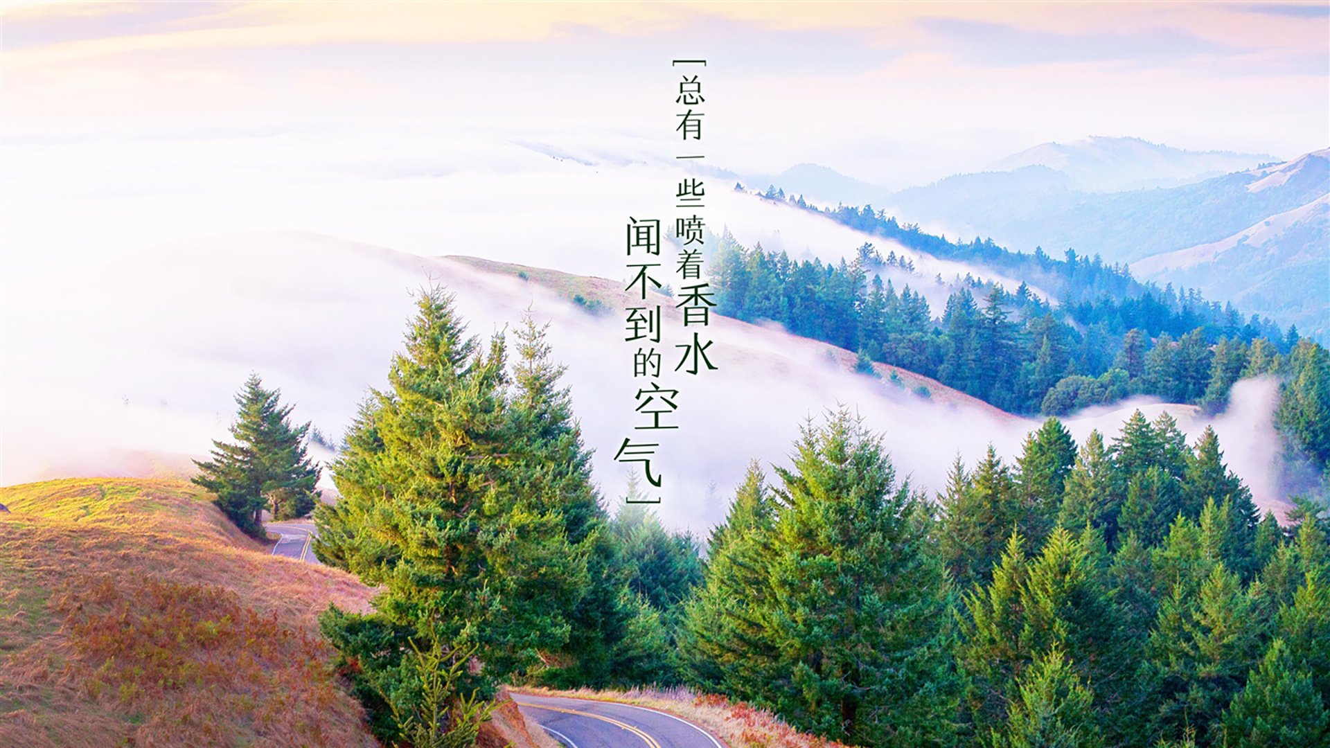 克瓦拉茨赫利亚的疯狂舞步，当格鲁吉亚魔术师撕碎美洲防线