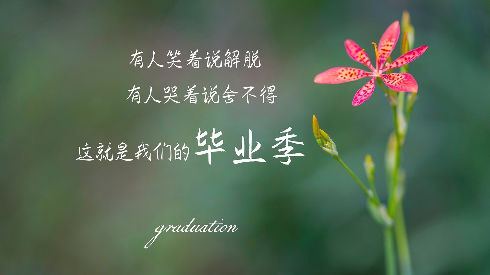 孤星与银河，当布克的抢七封神照亮掘金式团队胜利