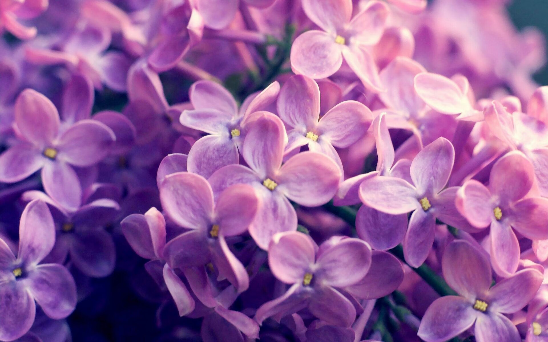 奥利维耶爆发力挽狂澜，莱比锡红牛生死战险胜丹麦劲旅