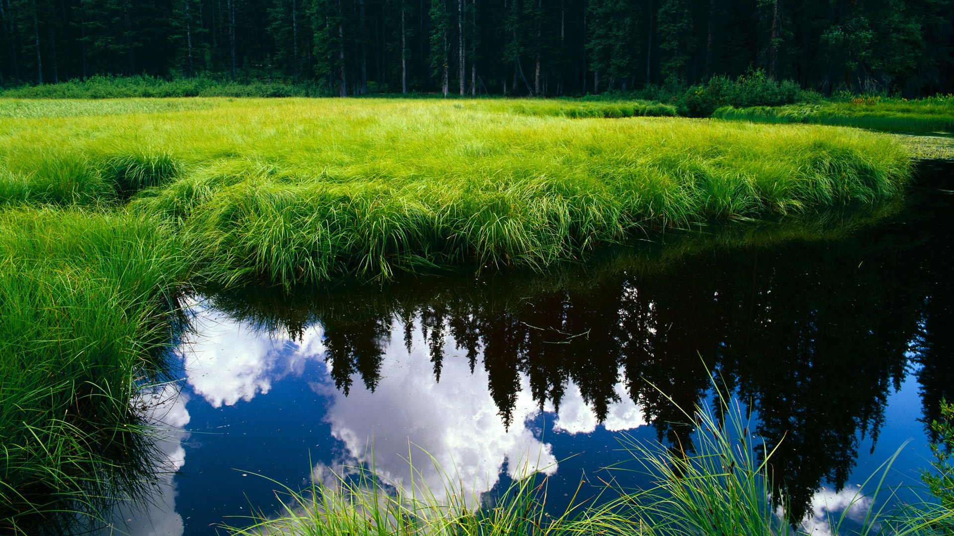 星夜启程,罗德里戈在亚平宁的璀璨加冕之夜