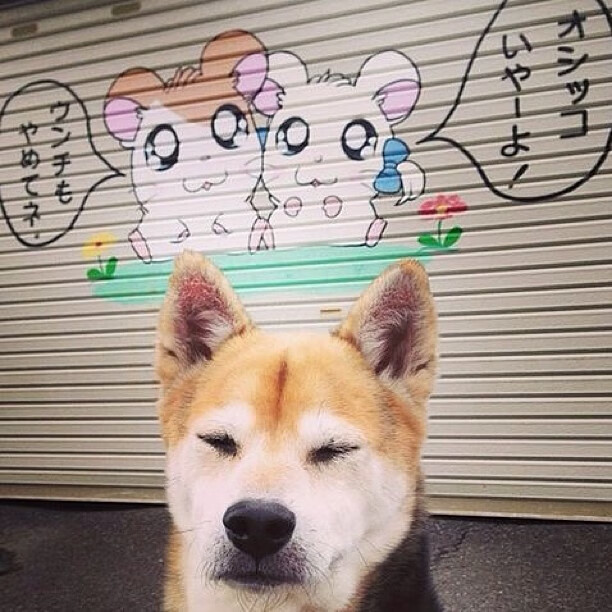 绿茵棋盘的压制与救赎,毕尔巴鄂的战术铁幕与帕尔默的破茧时刻