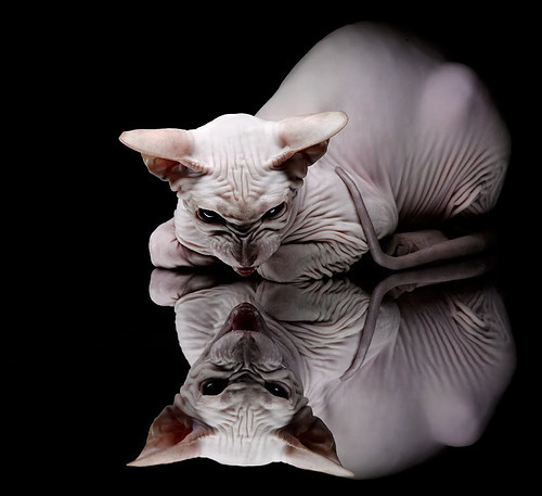 巴尔韦德爆发!玻利维亚强势拿下利物浦,南美奇迹震撼足坛