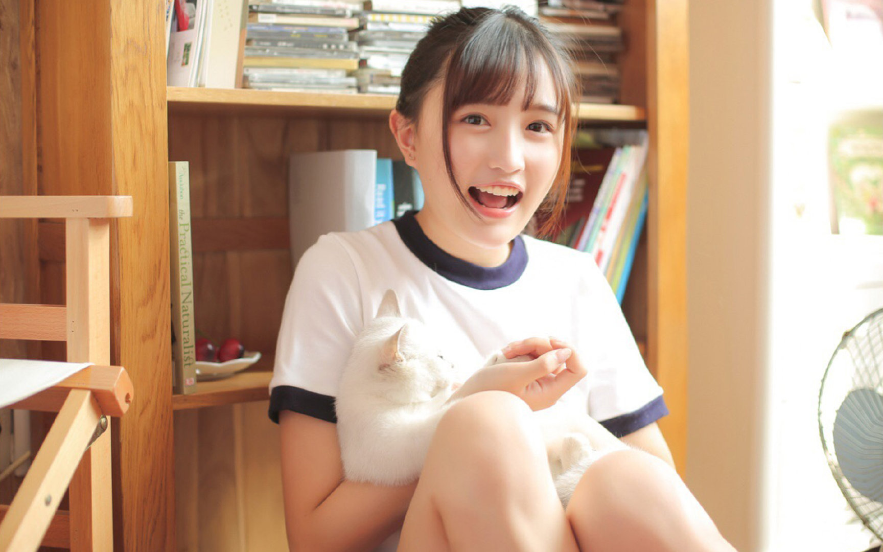 卡马文加爆发背后的非洲血脉，安哥拉巅峰对决掀翻摩洛哥铁骑