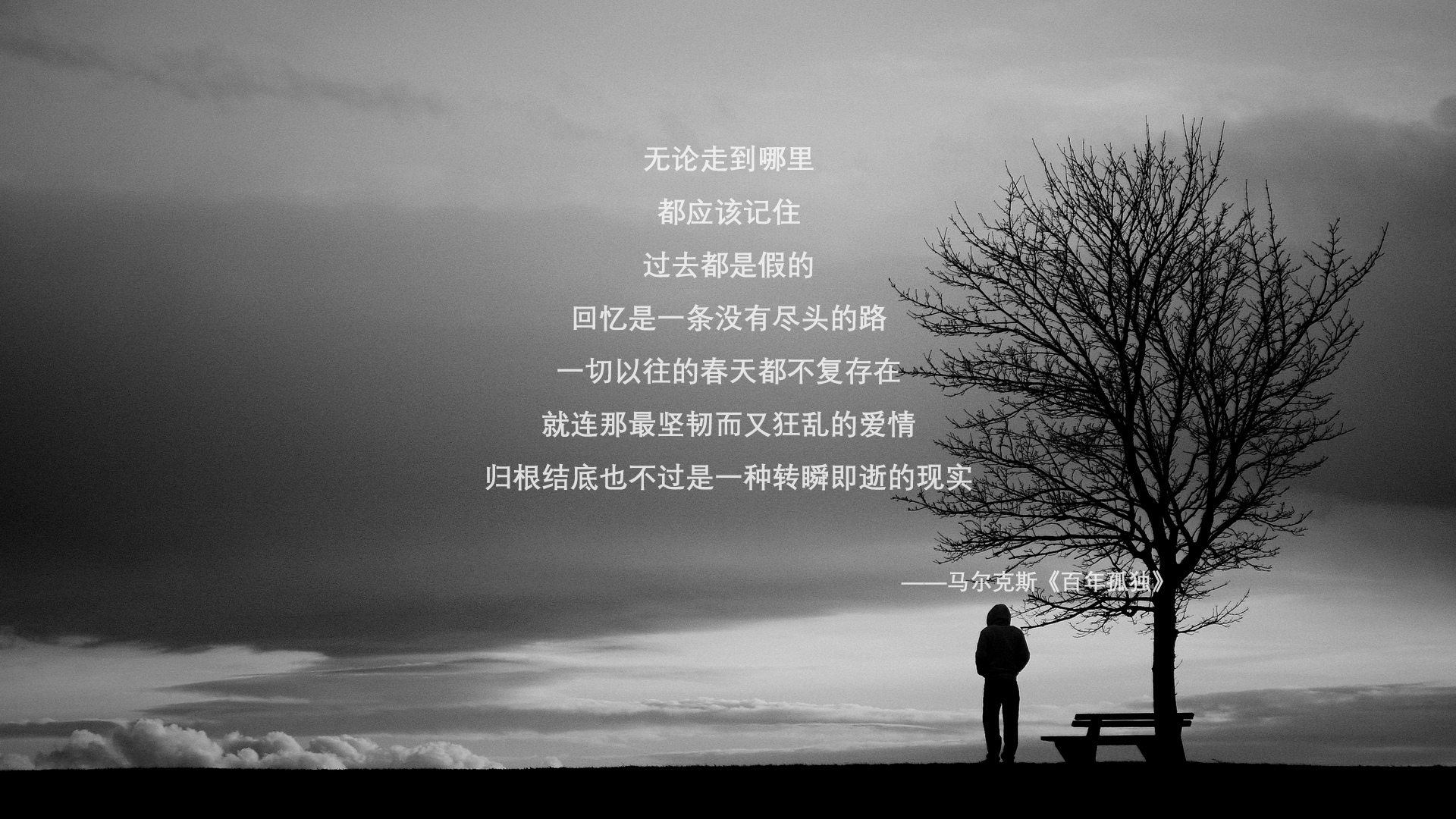 双城对决,西甲国家德比焦点战与湖人力克老鹰的胜利之歌