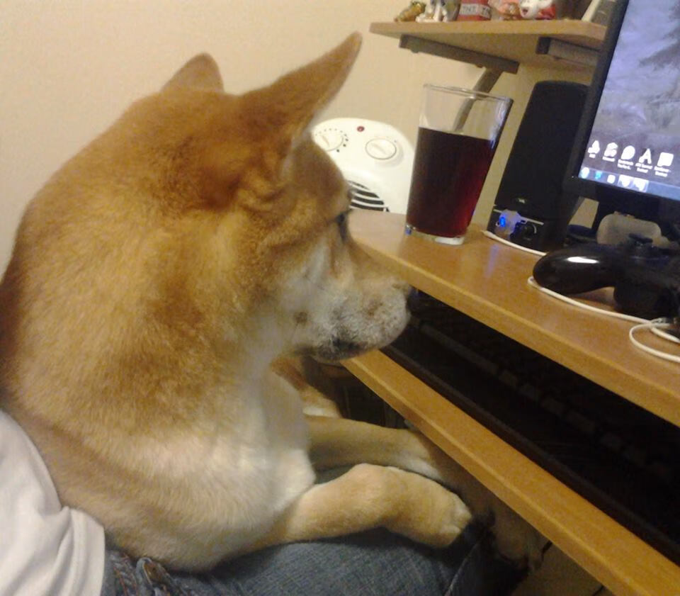 跨越边界的核心，字母哥式攻防转换如何点亮美加墨世界杯之夜