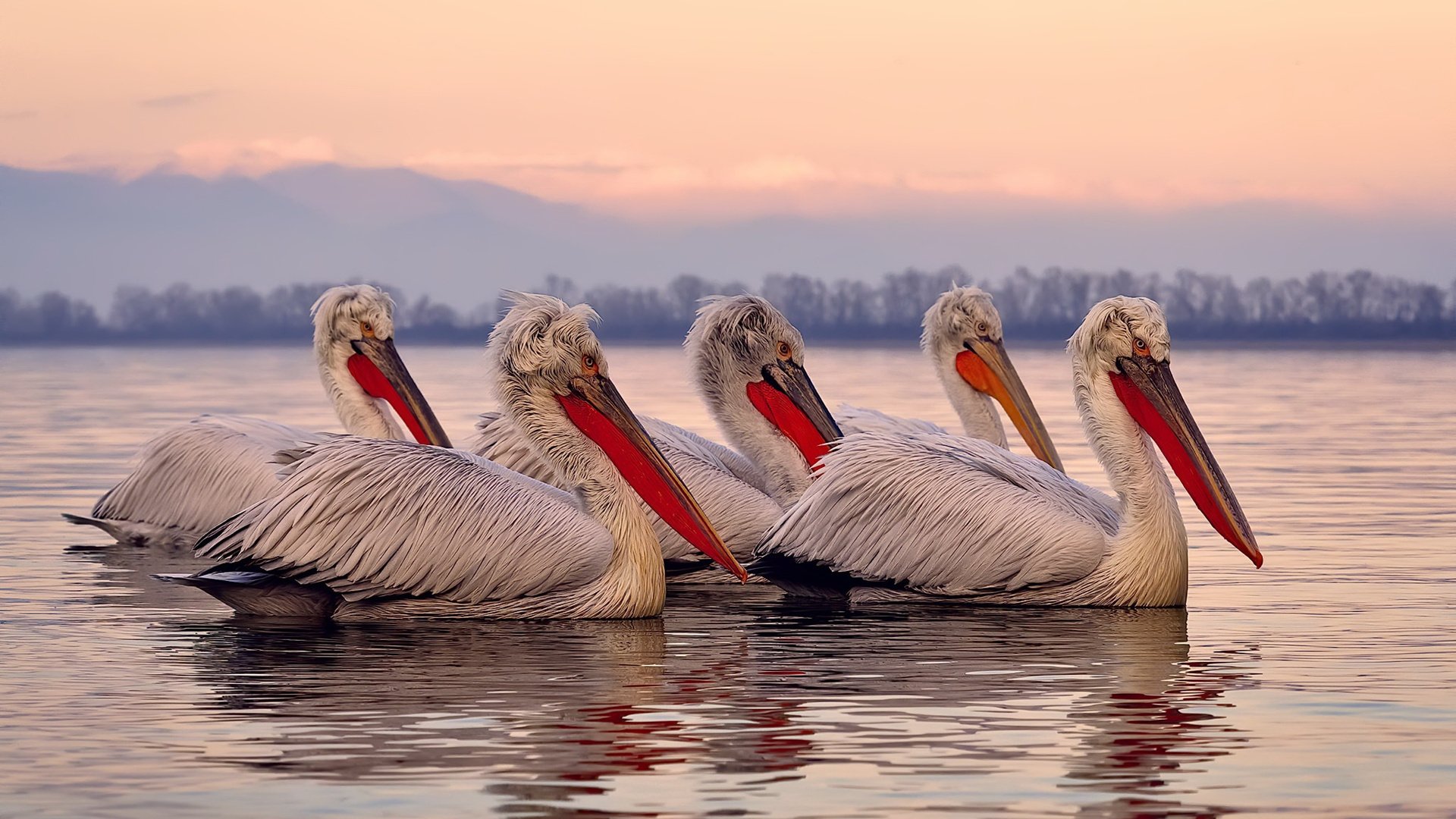 当诺坎普的星光遇见巴克莱中心的硝烟，杜兰特诠释何为关键先生