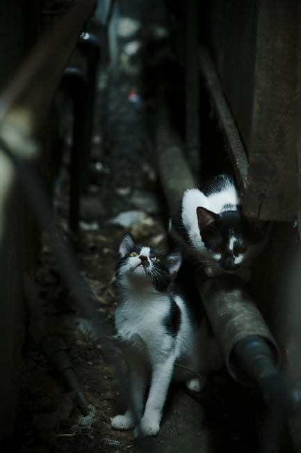 历史性夜晚，当威尔士红龙遇见永恒之城，皮克献上冠军级告别演出