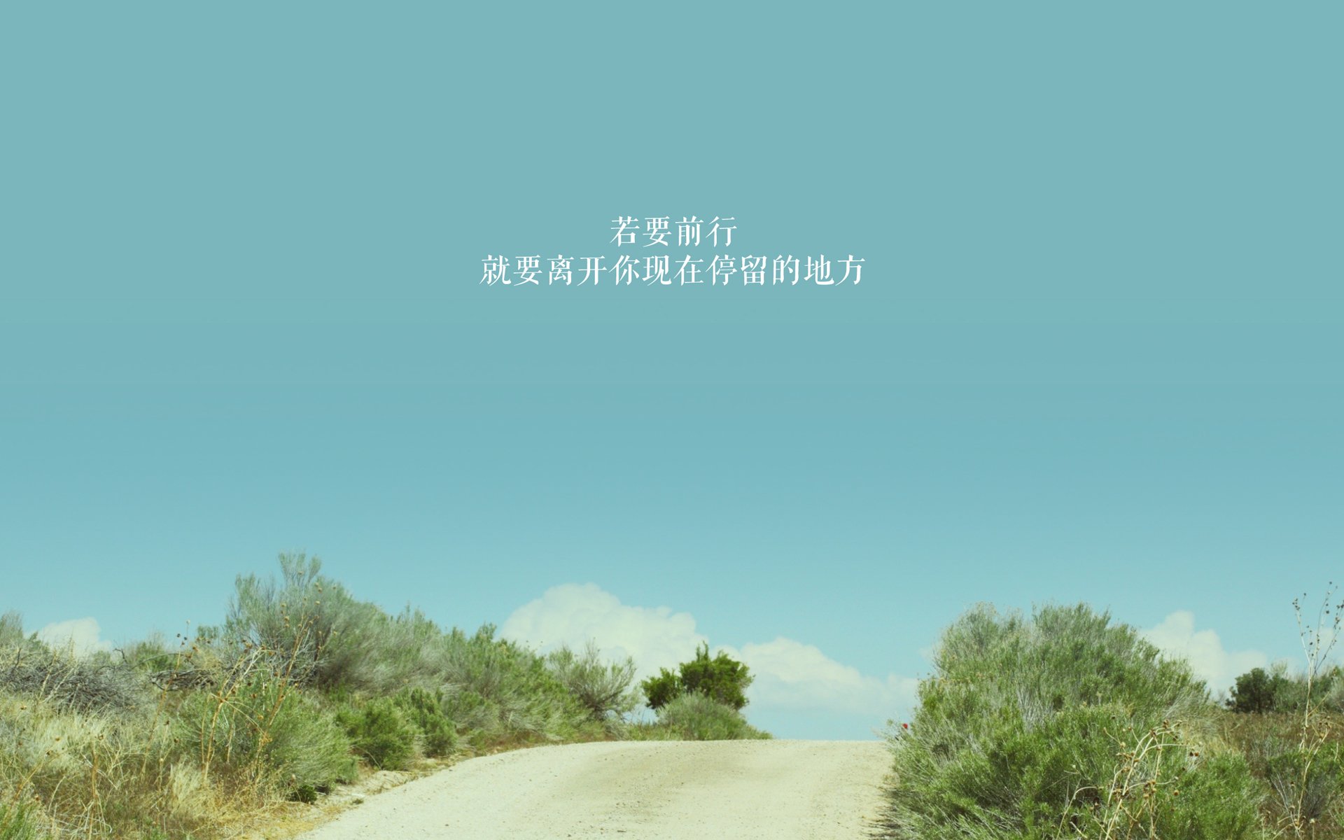 沙漠风暴席卷欧陆，阿联酋攻陷铁骑，阿诺德掌舵2026世界杯决赛关键战
