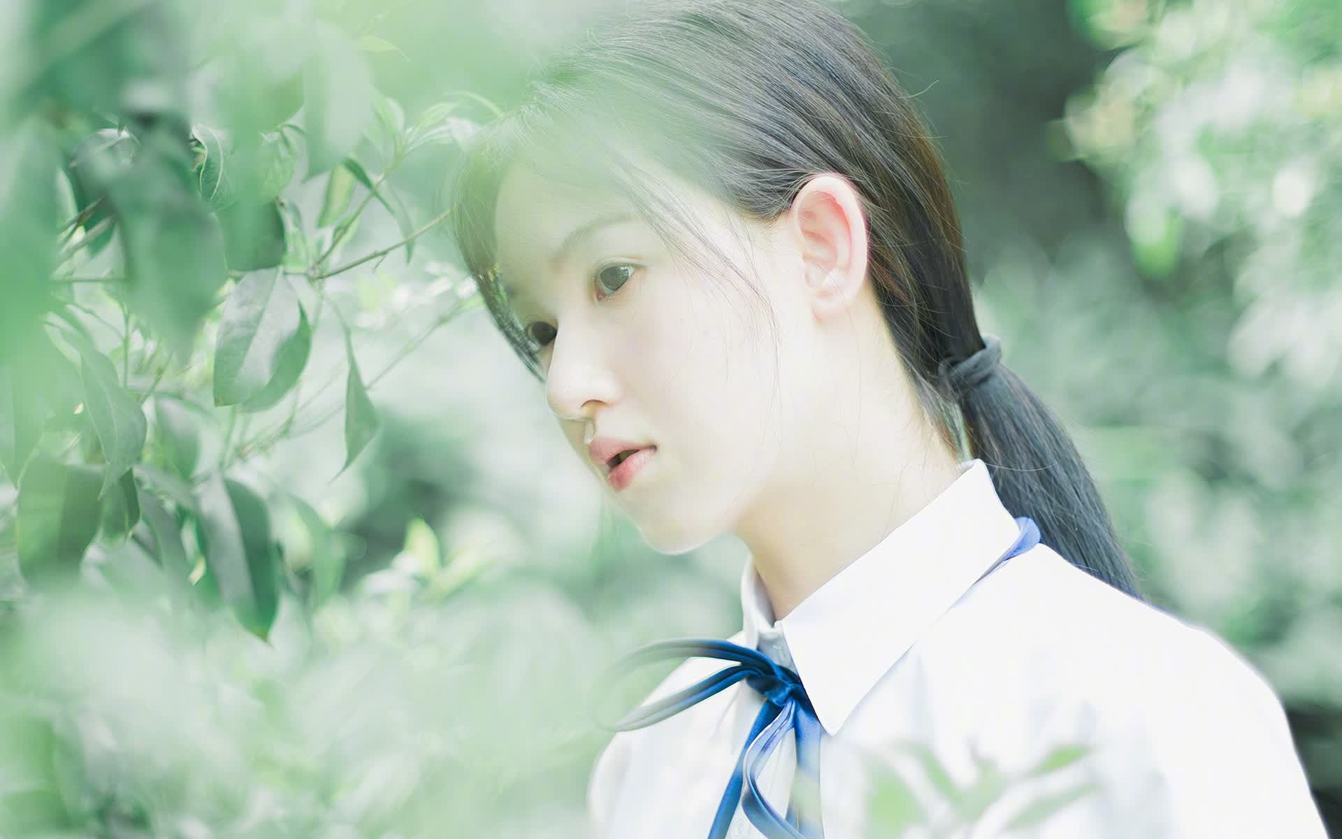 沙漠风暴席卷郁金香，2026世界杯B组沙特完胜荷兰，布罗佐维奇演绎中场大师课