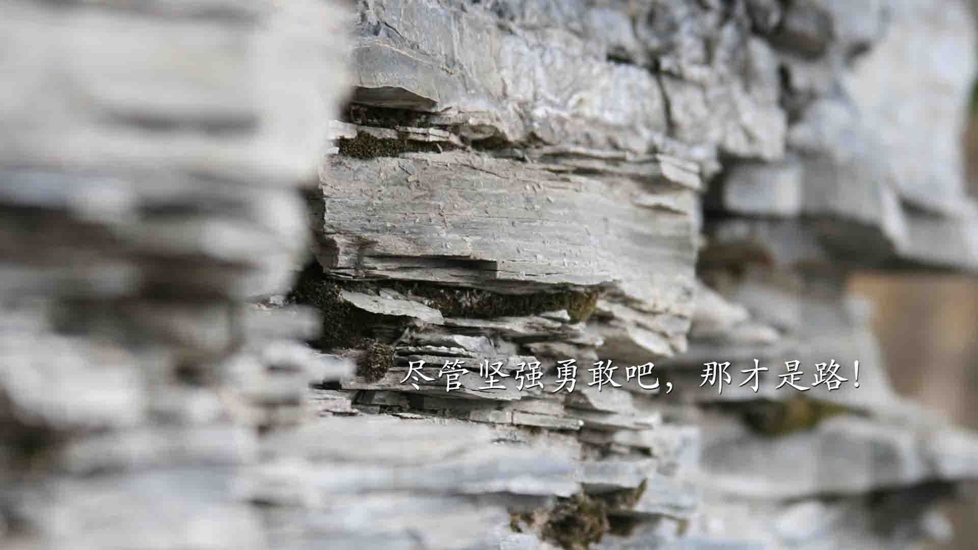致命一击与神勇门神共铸经典，罗马尼亚完胜奥地利震撼D组格局